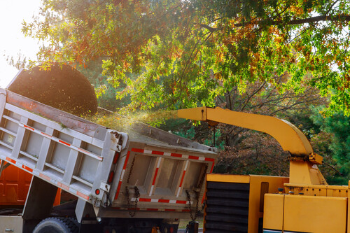 tree chopping