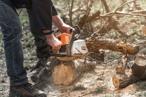 branch cutting