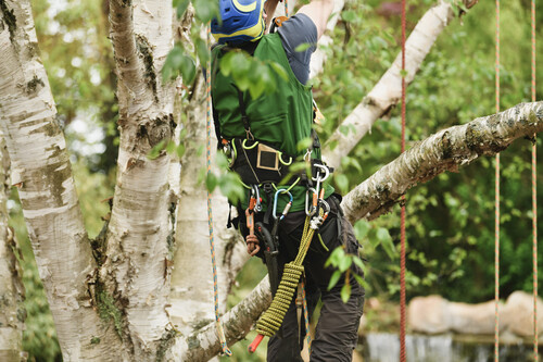 tree trimming