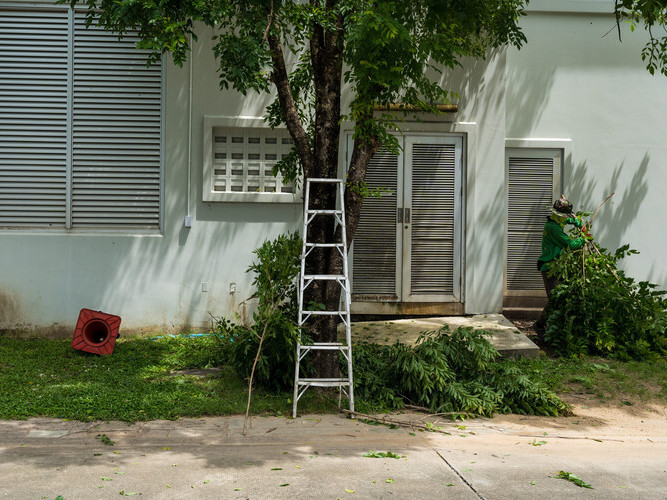 Ladder standing in the green garden outdoors. Gardening concept. Trimming overgrown branches from a tree in a residential.